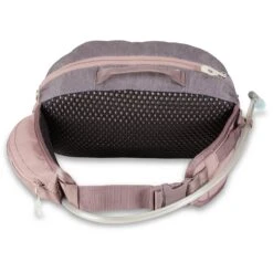 Dakine Gürteltasche Hot Laps Hüfttasche 5 Liter SPARROW Violett -Günstiges Draussen Herz Geschäft Dakine 10003407 Hot Laps 5L Sparrow Bike Pack Unisex 2 1200x1200 1