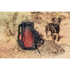 Gregory Tagesrucksack Arrio 18 Liter Rot Herren/Damen 11 Gregory Tagesrucksack Arrio 18 Liter Rot Herren/Damen -Günstiges Draussen Herz Geschäft GMP S21 Arrio18 Backpanel 1008x1008 1