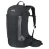 Jack Wolfskin Fahrrad-/ Multisportrucksack Phantasy (AEROVENT-Tragesystem) Phantomgrau 22.5 Liter