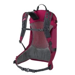 Jack Wolfskin Fahrrad-/ Multisportrucksack Phantasy (Helmfixierung, Tragesystem) Beererot 20 Liter -Günstiges Draussen Herz Geschäft Jack Wolfskin Rucksack Phantasy 20 Liter 2010231 2222 3 1000x1000 1